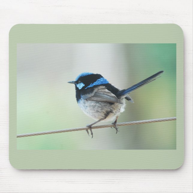 Kleiner blauer Zaunkönig (großartig fairywren), Mousepad (Vorne)