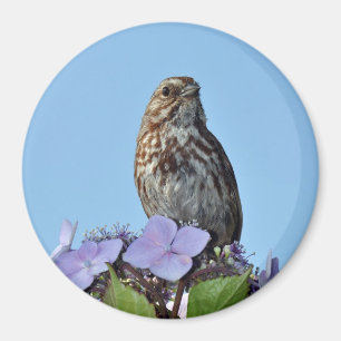 Kleiner brauner Singvogel-Druckmagnet Magnet