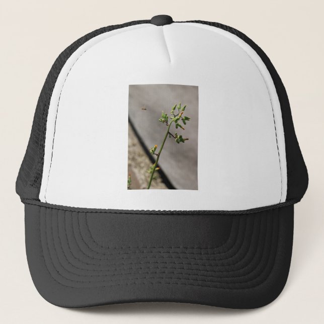 Kleiner Bug, kleine Blume Truckerkappe (Vorderseite)