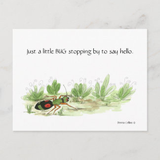 Kleiner Bug Postcard Einladungspostkarte