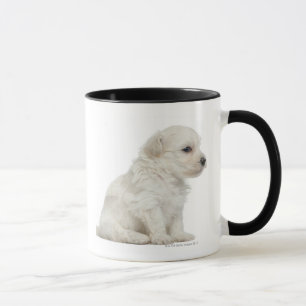Kleiner Chien-Löwe oder kleiner Löwe-Hundewelpe Tasse