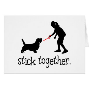 Kleiner Dachshund Griffon Vendeen