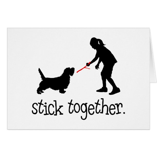 Kleiner Dachshund Griffon Vendeen (Vorderseite (Horizontal))