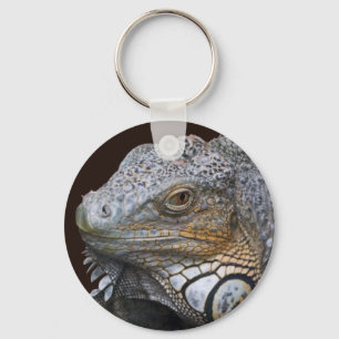 Kleiner Drache Schlüsselanhänger