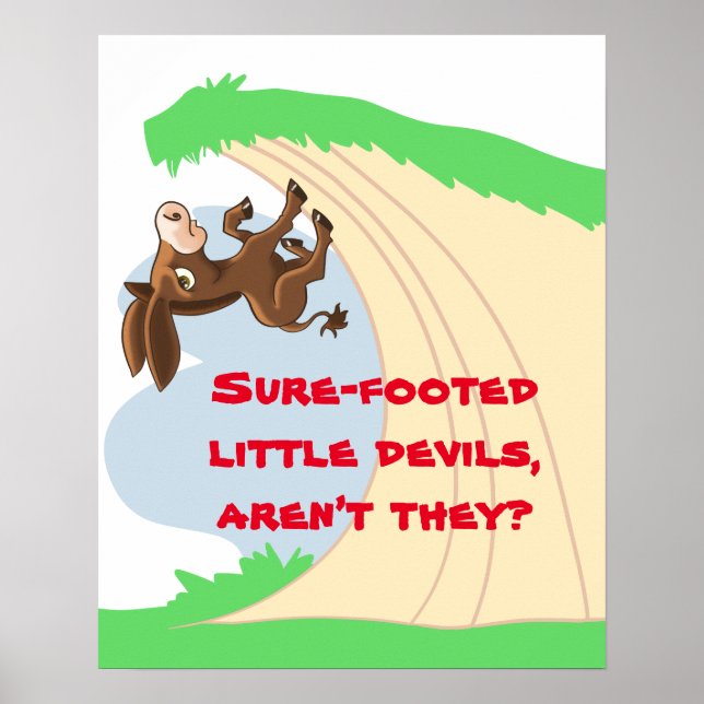 Kleiner Esel Poster (Vorne)