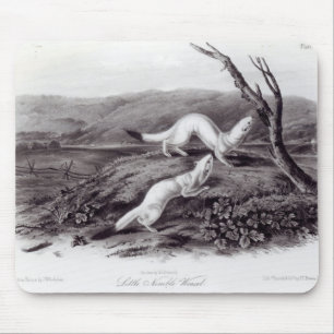 Kleiner flinker Weasel Mousepad