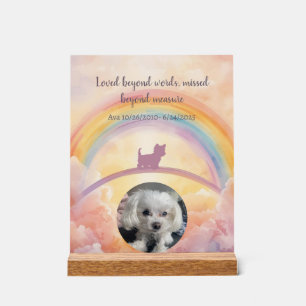 Kleiner Fluffiger Hund Regenbogenbrücke Gedenk Acr Acrylschild