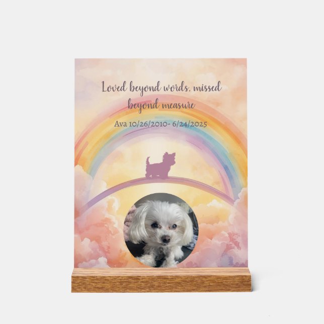 Kleiner Fluffiger Hund Regenbogenbrücke Gedenk Acr Acrylschild (Vorderseite)