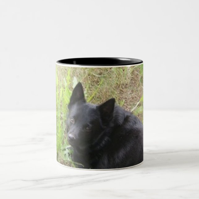 kleiner Fuchs Zweifarbige Tasse (Mittel)