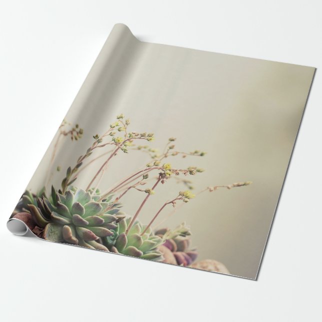 KLEINER GARTENERFOLG GESCHENKPAPIER (Ungerollt)