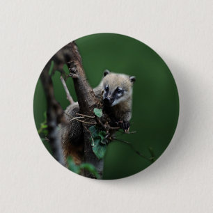 Kleiner Gauner Coati - Lemur Button