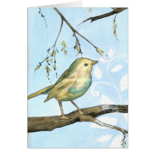 Kleiner Gelbbvogel auf einem Zweig nach oben