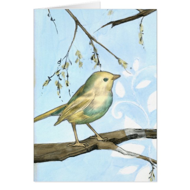 Kleiner Gelbbvogel auf einem Zweig nach oben (Vorne)