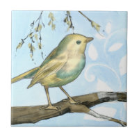 Kleiner Gelbbvogel auf einem Zweig nach oben