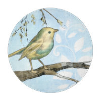 Kleiner Gelbbvogel auf einem Zweig nach oben