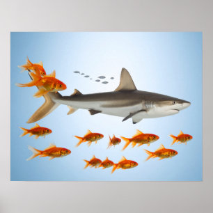 „Kleiner Goldfisch, große Hai-Energie“ Poster