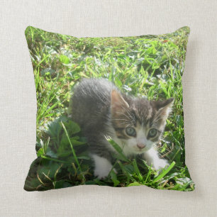 Kleiner grauer Junge Kissen