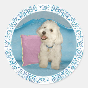 Kleiner Havanese auf türkisfarbenem Sofa Runder Aufkleber