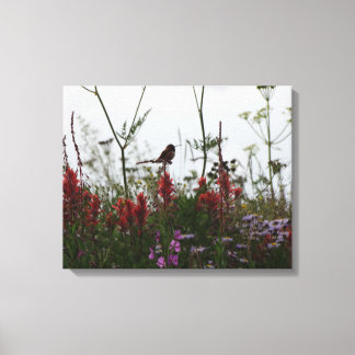 kleiner Hummingvogel Leinwanddruck