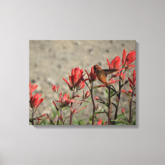 kleiner Hummingvogel Leinwanddruck