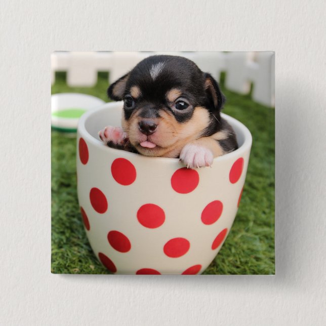 Kleiner Hund in der Tasse Button (Vorderseite)