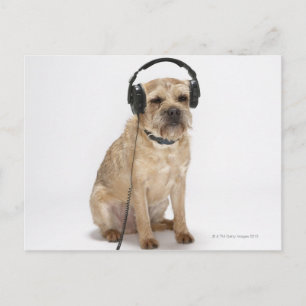 Kleiner Hund mit Kopfhörer Postkarte