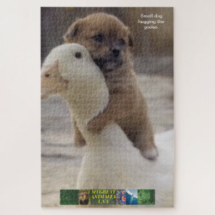 Kleiner Hund Rätsel, umarmt die Gans. Puzzle