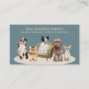 Kleiner Hunde-Tagespflege-Lounge Visitenkarte