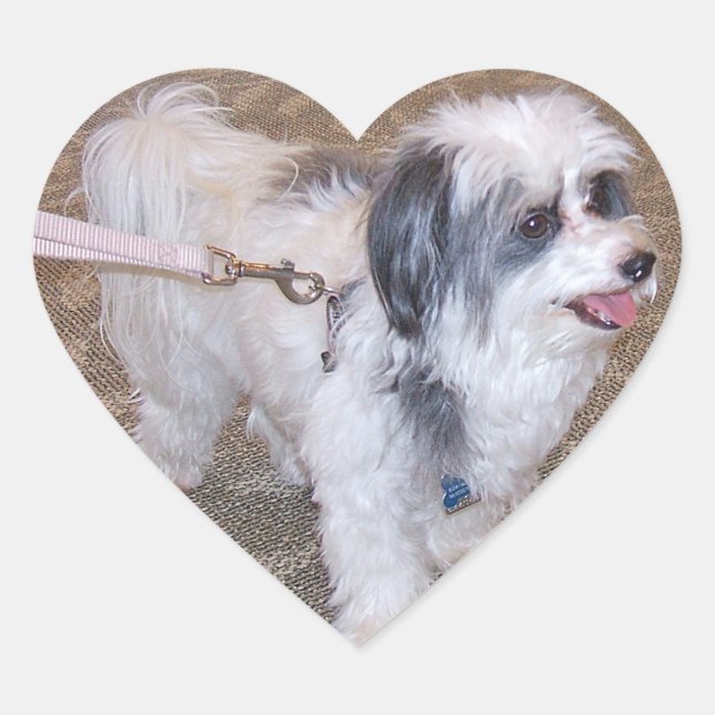 Kleiner Hundekleber Herz-Aufkleber (Vorderseite)