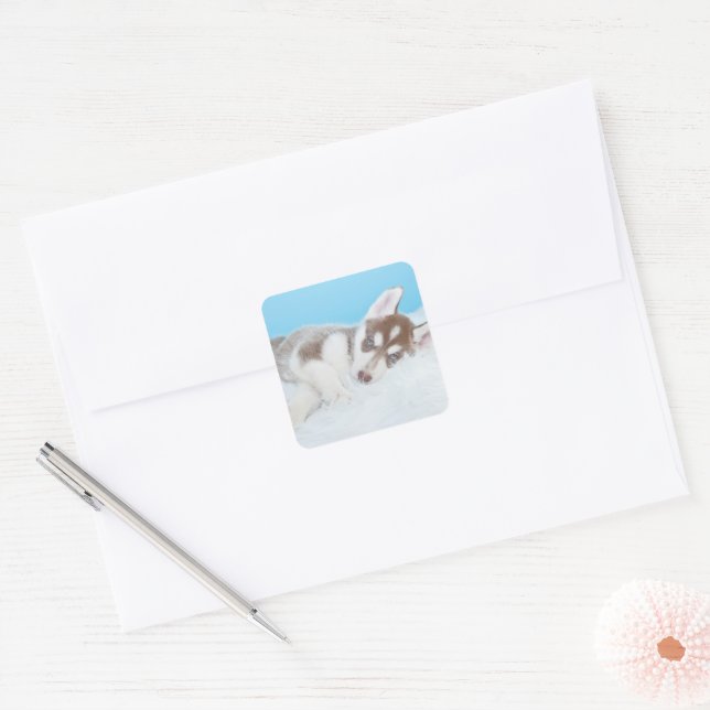 Kleiner Husky-Welpe auf einer Blankette Quadratischer Aufkleber (Umschlag)