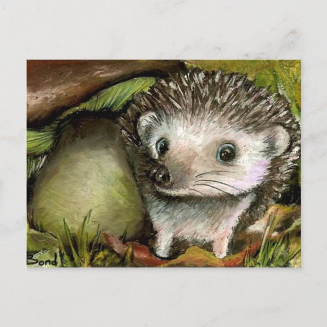 Kleiner Igel Postkarte (Vorderseite)