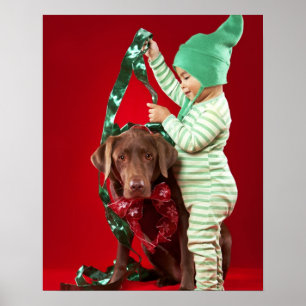 Kleiner Junge, der einen Hund schmückt Poster