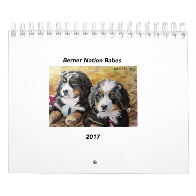 Kleiner Kalender der Berner Nations-Baby-2017 (Titelbild)