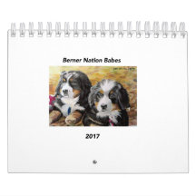 Kleiner Kalender der Berner Nations-Baby-2017