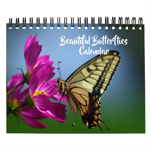 Kleiner Kalender Schöner Schmetterlinge (Titelbild)