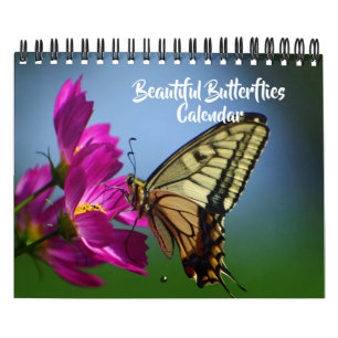 Kleiner Kalender Schöner Schmetterlinge