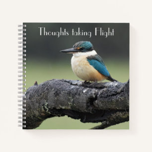 Kleiner Kookaburra Bird Notizbuch
