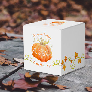Kleiner Kürbis auf dem Weg zur Babyparty  Geschenkschachtel