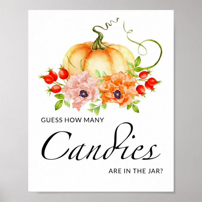 Kleiner Kürbis Blumenratte wie viele Bonbons Poster (Vorne)