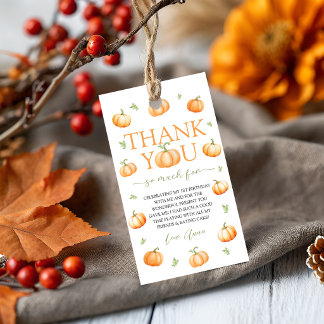 Kleiner Kürbis Herbst Gefallen Dankeschön Etikett Geschenkanhänger
