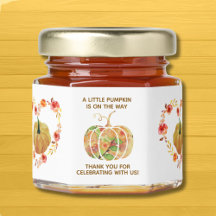 Kleiner Kürbis ist auf dem Weg zur Babydusche