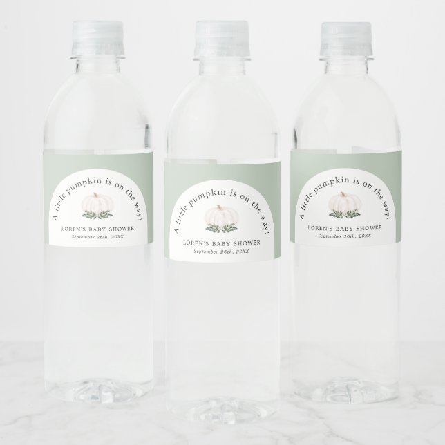 Kleiner Kürbis ist auf dem Weg zur Babydusche Wasserflaschenetikett (Flaschen)