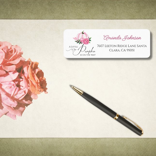 Kleiner Kürbis Rosa Fall Rustikale Babydusche (Von Creator hochgeladen)