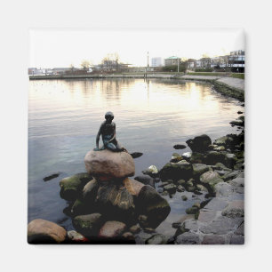 kleiner Meerjungfraumagnet Magnet