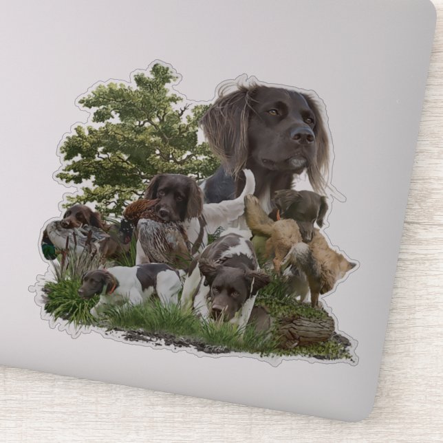 Kleiner Munsterlander Aufkleber (Detail)