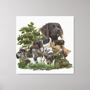 Kleiner Munsterlander Leinwanddruck