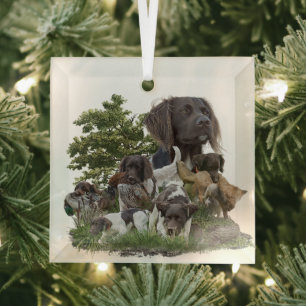 Kleiner Munsterlander Ornament Aus Glas