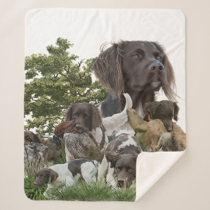 Kleiner Munsterlander Sherpadecke