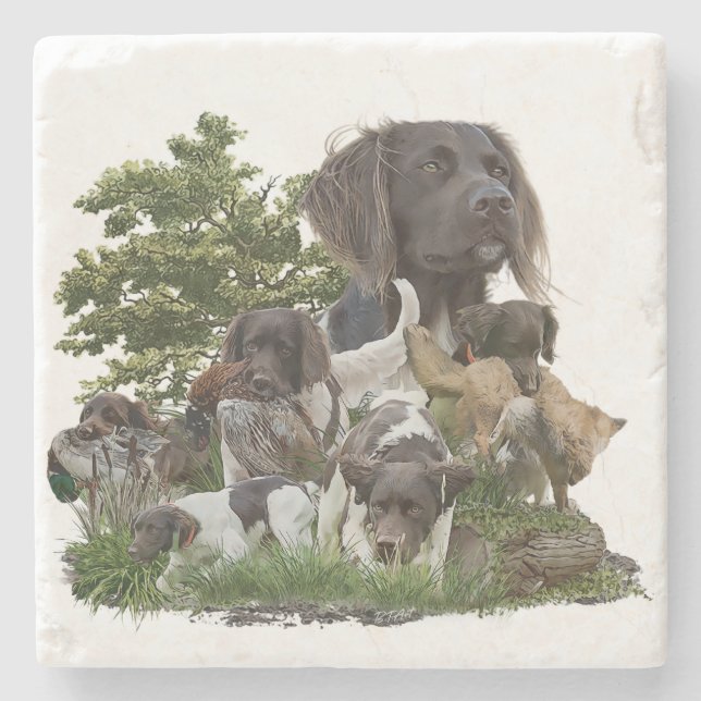 Kleiner Munsterlander Steinuntersetzer (Vorderseite)