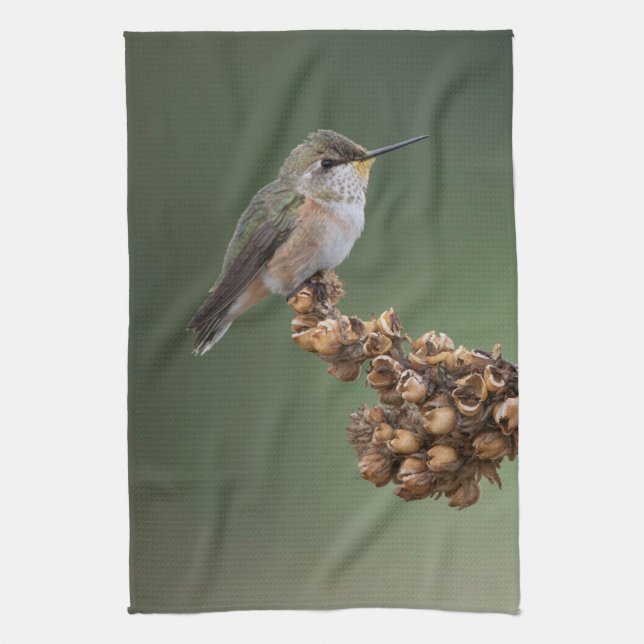 Kleiner Orange Hummingbird Geschirrtuch (Vertikal)